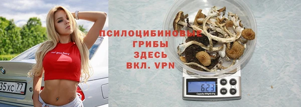 прущий лед Аркадак
