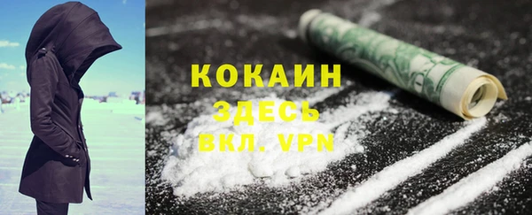 кокс Алексин